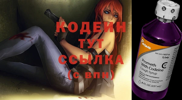 ГАЛЛЮЦИНОГЕННЫЕ ГРИБЫ Алзамай