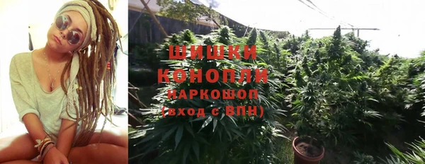 ГАЛЛЮЦИНОГЕННЫЕ ГРИБЫ Алзамай